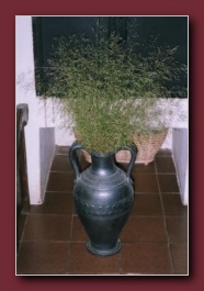 Kliknite za pove�avo slike